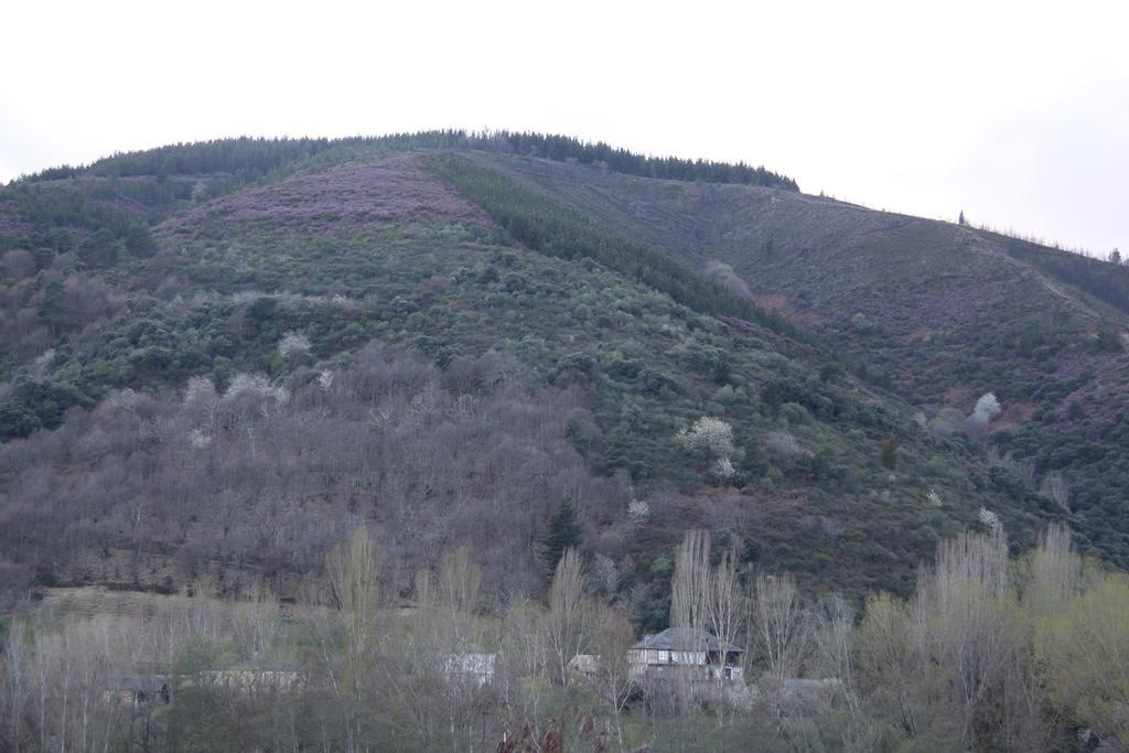 Venecia Bed&Breakfast Villafranca del Bierzo Kültér fotó